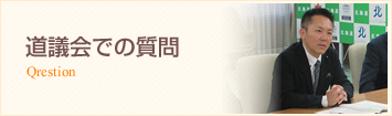 同議会での質問